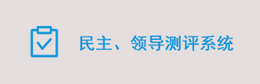 干部民主测评软件/领导班子测评软件/干部考评系